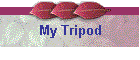 My Tripod